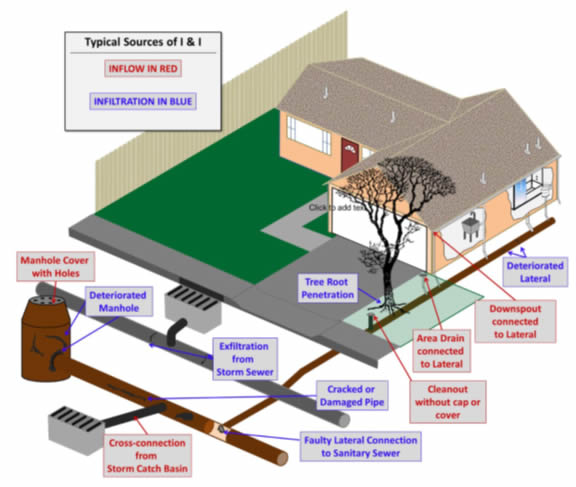 Causes and Prevention image